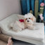 Coussin pour chien confortable et imperméable Comfy-1267820615