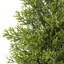 Arbre topiaire pin cèdre Arya, ensemble de 2, pot noir, soie soyeuse réaliste 60 pouces-132797835-132797837