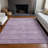 Machine Washable Indoor/Outdoor Chantille ACN1163 Lavender Rug-109514385