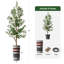 68 plantes-95099217
