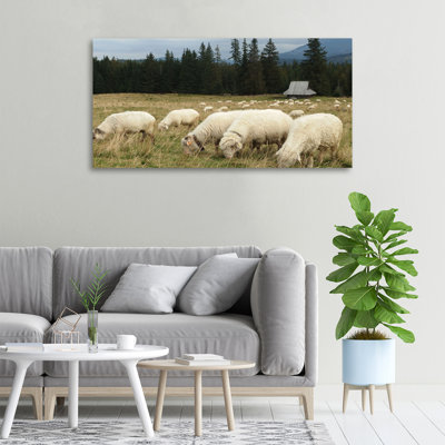 Sheep Grazing - No Frame Print on Canvas