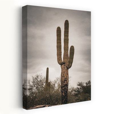 Desert Saguaro Sky Serene Tranquil Abstract Cactus Landscape Nature Wall Art Print