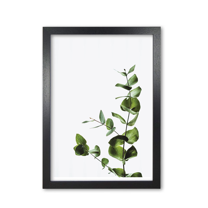 Elegant Plant - Print, Black Grain Frame, 42 cm H x 30 cm W x 5 cm D