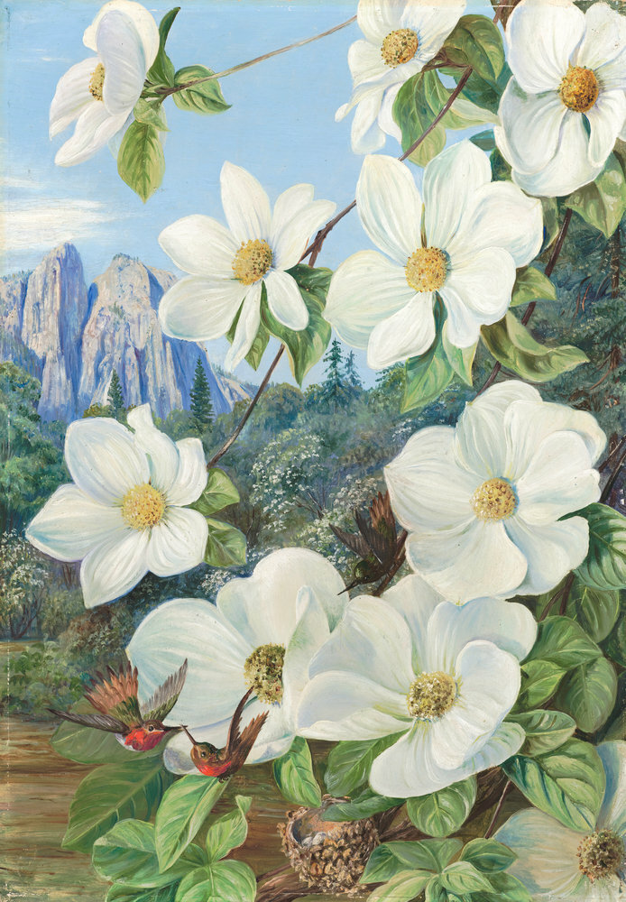 marianne north paintings