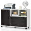 Lesovsky 40'' Wide 1 -Drawer Mobile File Cabinet