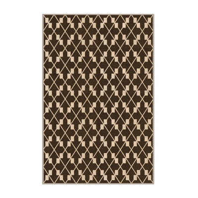 Indoor Rug