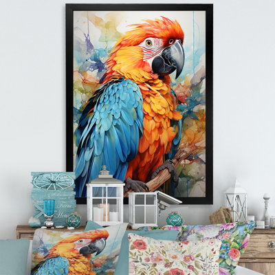 " Orange Blue Parrot Vibrant Plumage "