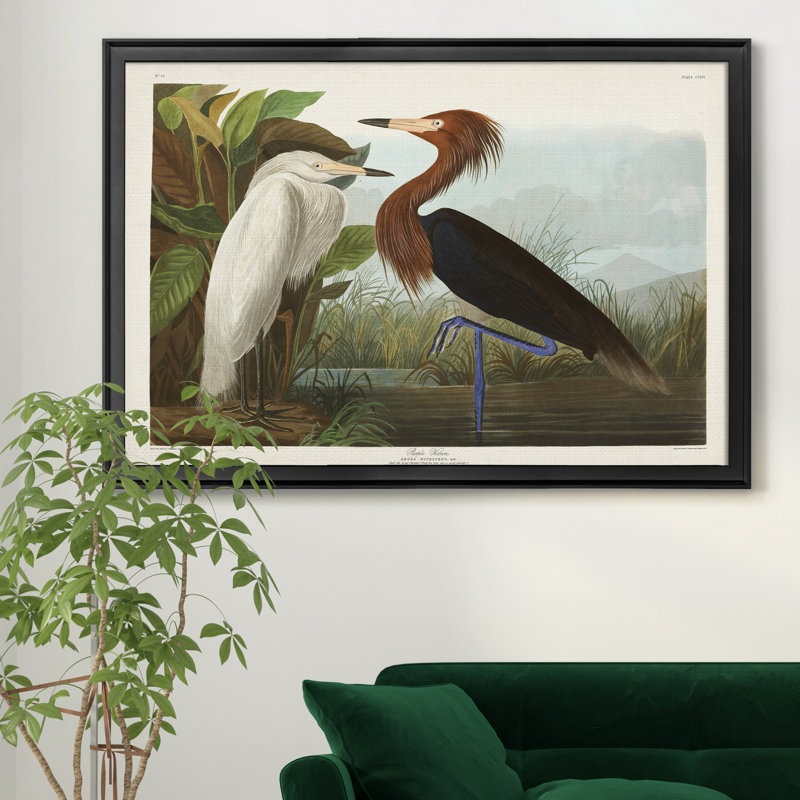 Héron mauve - reproduction d'art sur toile, H 22,5 po x l 30,5 po x P 1,5 po, Noir
