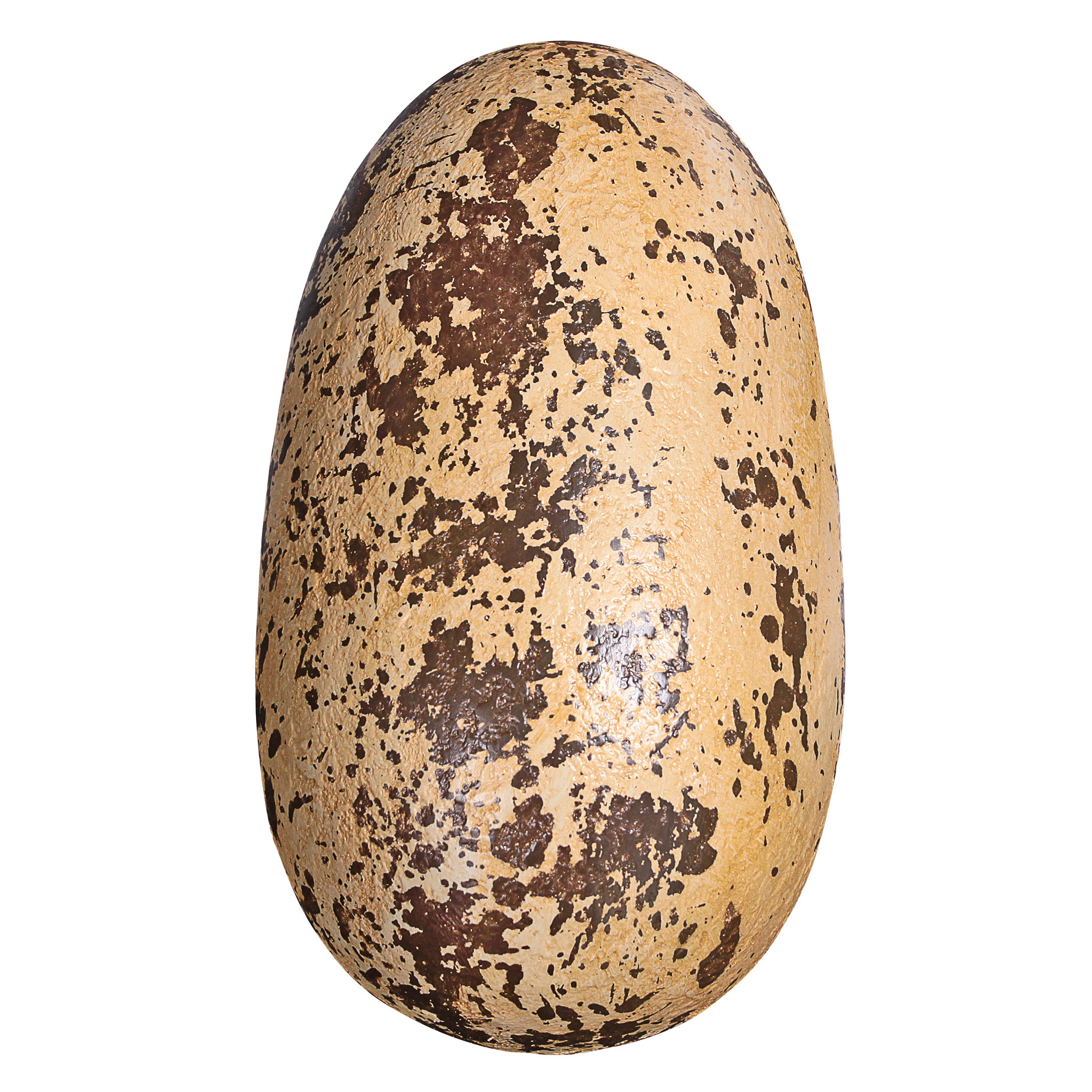 Яйцо мирмекса. Овальное яйцо. Яйцо без фона. Яйцо. Черное яйко.