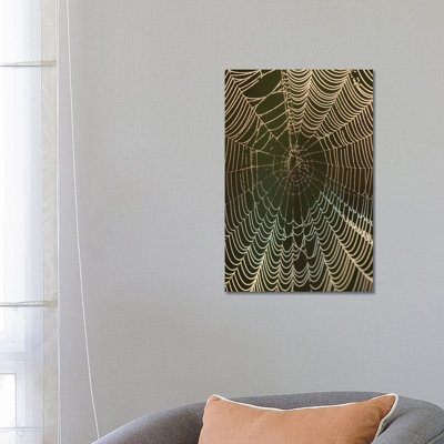Morning Dew On A Spider Web, Cameron Prairie National Wildlife Refuge, Louisiana by Maresa Pryor - Wrapped Canvas Print