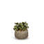 Faux Plant in Pot