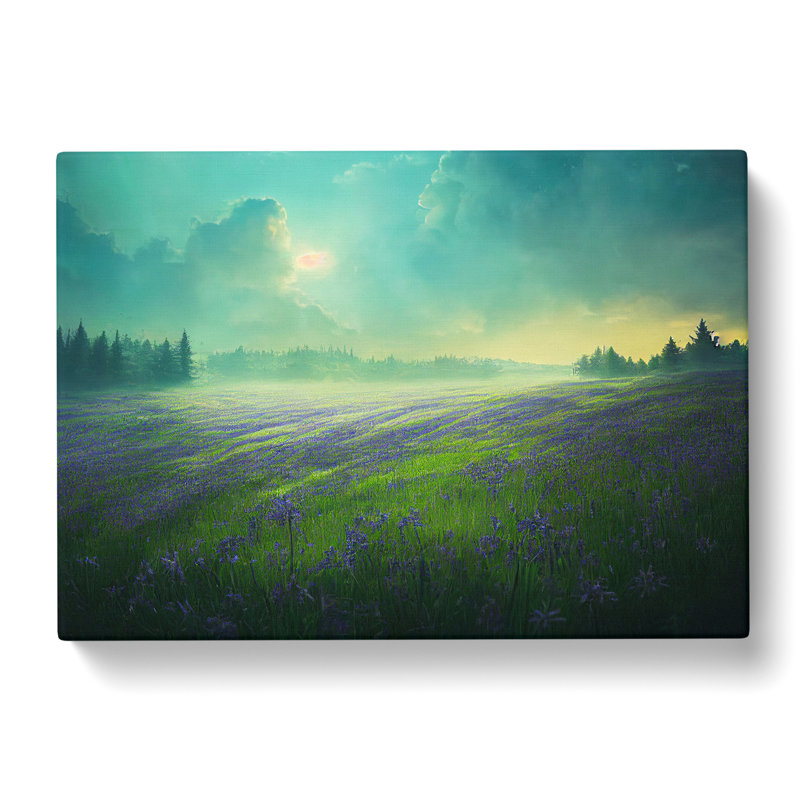 Fabulous Bluebell Field - Wrapped Canvas, 50cm H x 76cm W x 3cm D