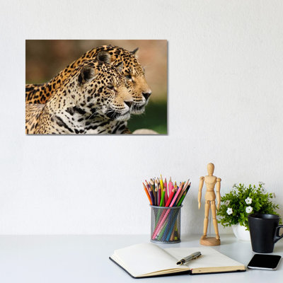 Jaguars 1 Piece Wrapped Canvas Wall Art