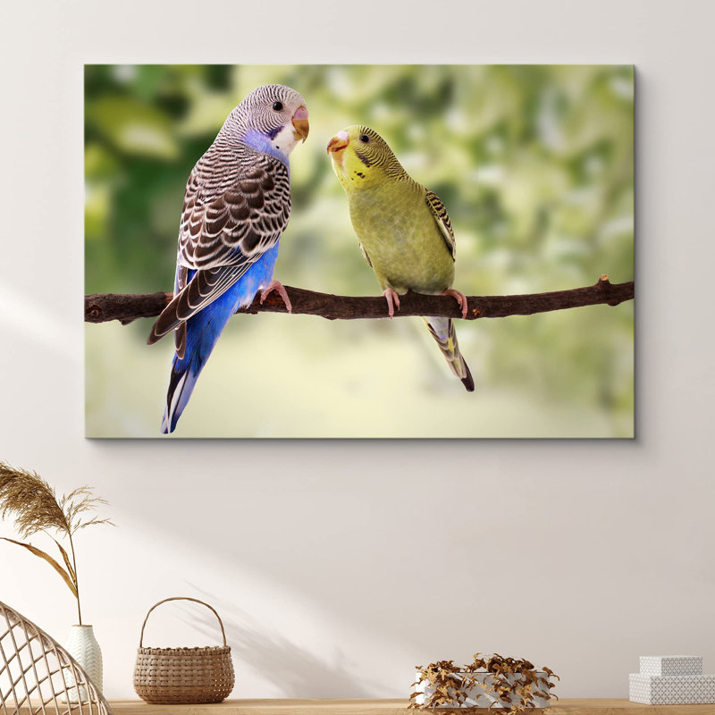 Oiseau bleu et vert, perruches dans un arbre, animaux, photographie contemporaine, HTB14, H 16 po x l 24 po