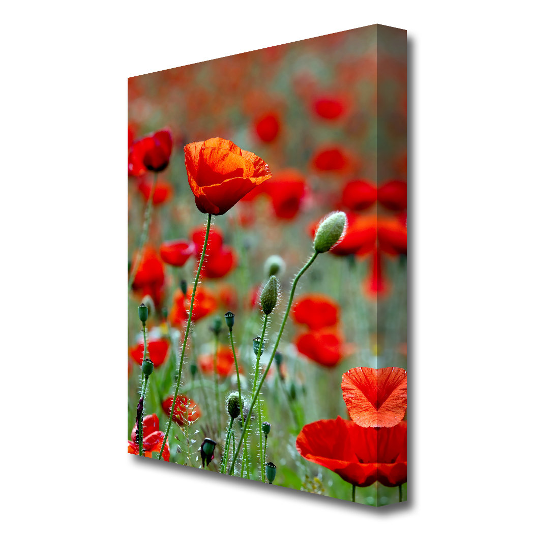 East Urban Home Red Poppy Field Galore Flowers Canvas Print Wall Art ...