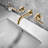 2-handle Bathroom Faucet-50505314