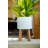 Shayla Ceramic Pot Planter-594544693