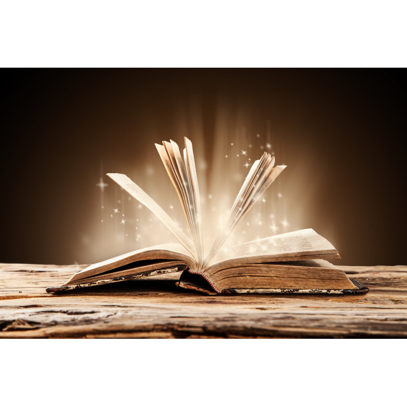 Vieux livre - Photographie sur toile tendue, L 48 po x H 32 po