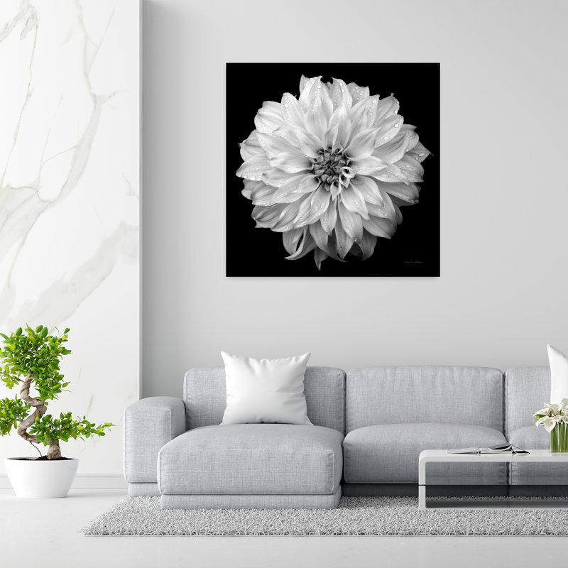 Dahlia iv contemporain avec art noir, noir et blanc, H 48 po x l 48 po