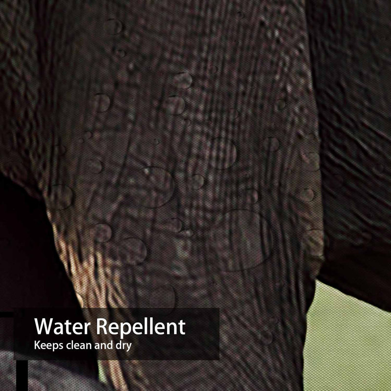 Rideau de douche India 12 Elephant Mother National Park avec 12 crochets, L 72 po x l 84 po