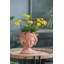 Pot à fleurs Visage Head, brun - pot à fleurs mural Home