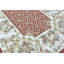 Hand-Knotted High-Quality Rust and Beige Area Rug
