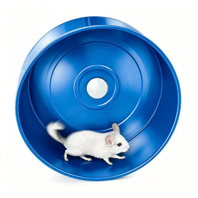 Roue d'exercice de 38 cm (15 pouces) en alliage d'aluminium pour chinchillas et petits animaux de compagnie – Roue de course silencieuse en métal avec support, bleue