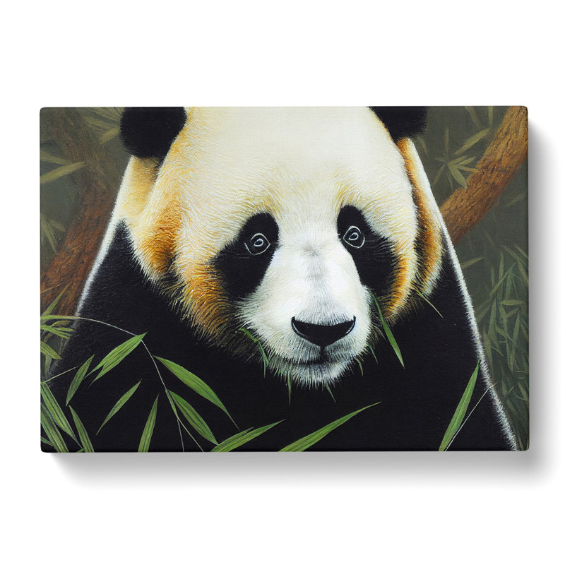 Masterful Panda - Wrapped Canvas, 35cm H x 50cm W x 3cm D