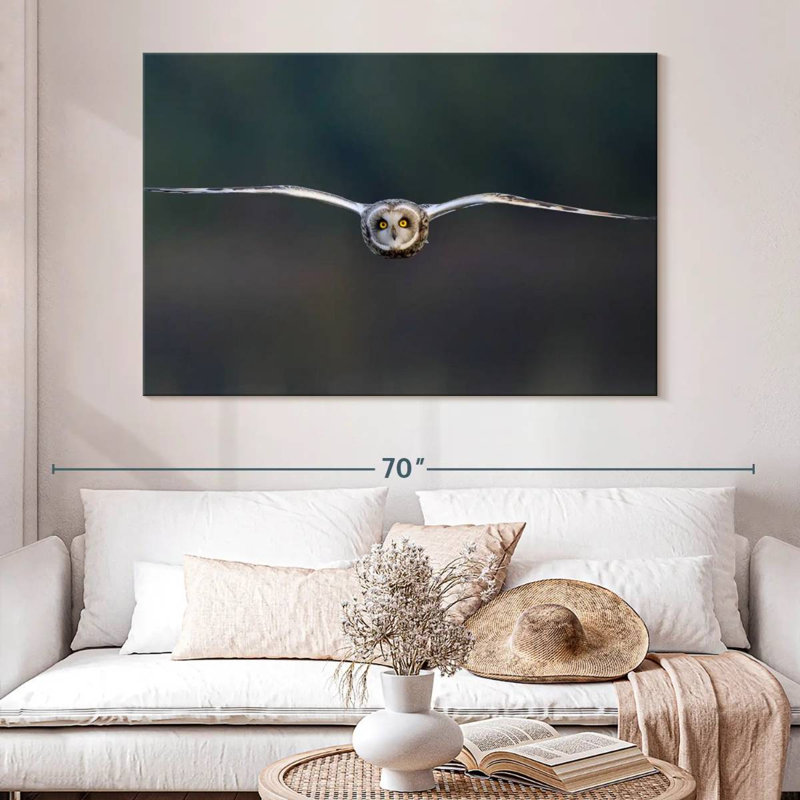Brampt Owl Mid Air, 34" H x 51" W