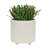 S/2 6/8" Textured Planters-209819004