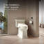 C3® Toilet Seat Bidet Elongated Bidet Seat-167313904