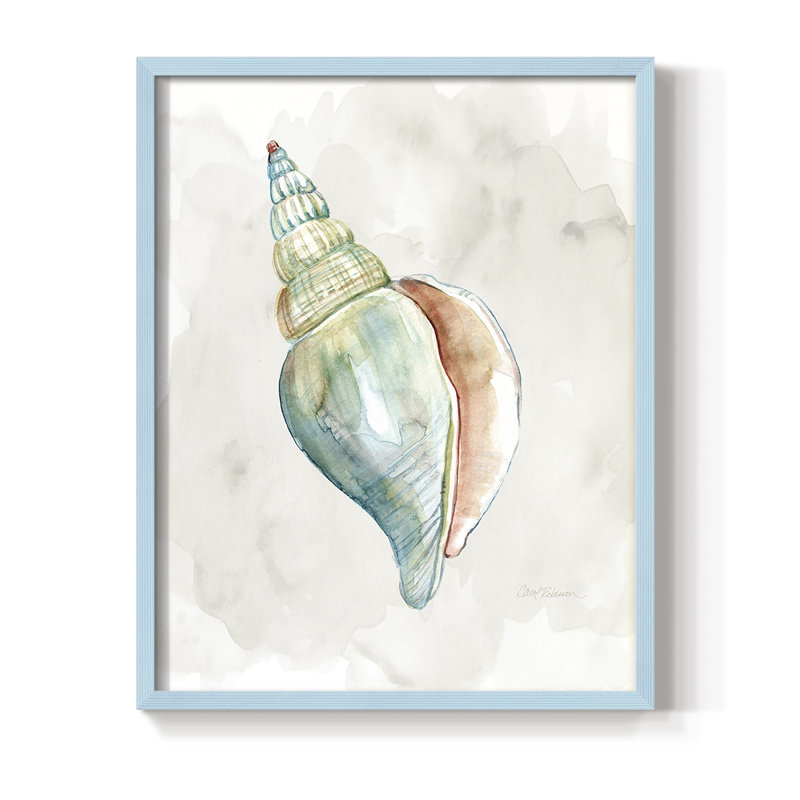 «Pastel Shell II», reproduction encadrée - bois massif, Bleu, H 10 po x l 8 po