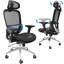 Jerlyn Ergonomic Office Chair with Headrest