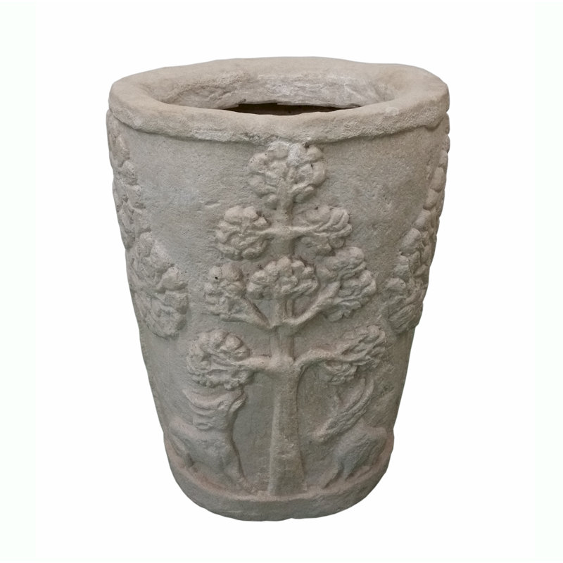 Amazon Planter
