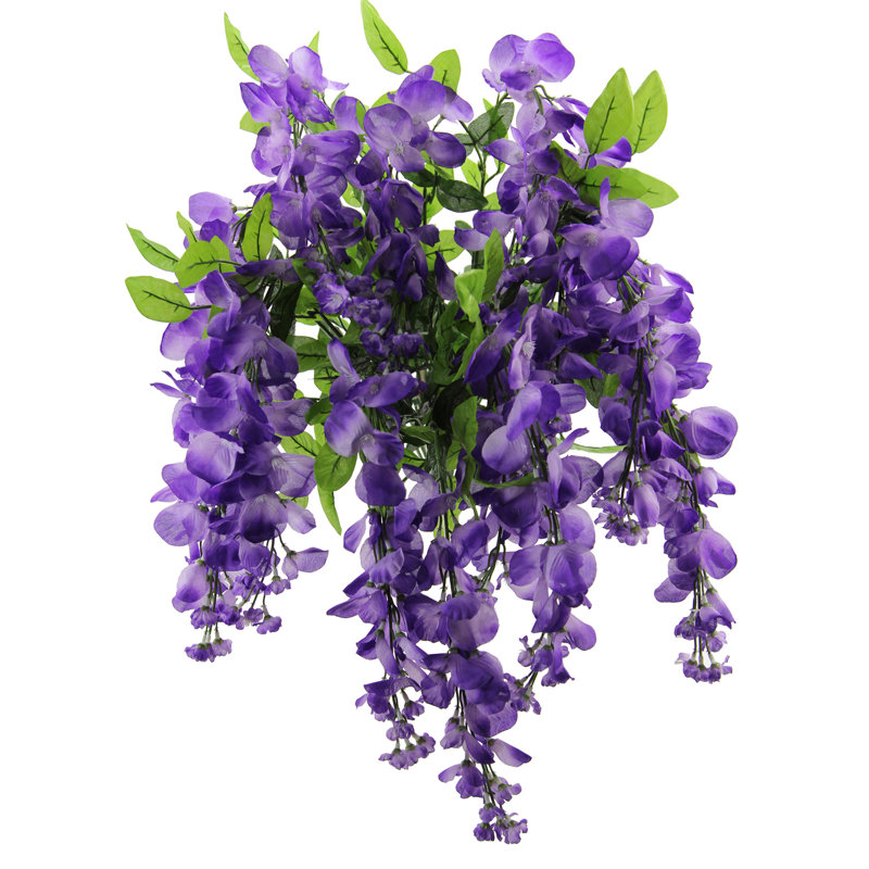 Tiges de glycine, Lavande