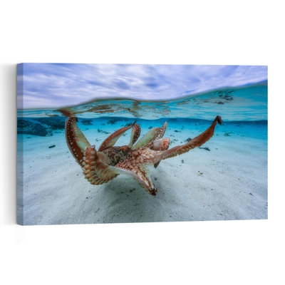 Graceful Underwater Octopus Peaceful Serene Vibrant Octopus Nature Ocean Wall Art Print 1 Piece Wrapped Canvas Wall Art