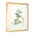 Gold Picture Frame