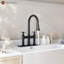 Pull Down Bridge Faucet-91082661