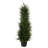 Spiral Cypress Artificial Tree with LED Lights