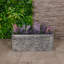 Allayna Planter Box