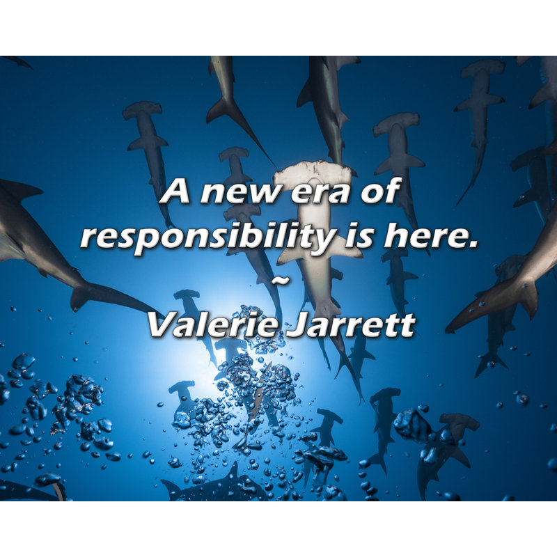 Citation de Valerie Jarrett: Une nouvelle ère de responsabilité est arrivée.