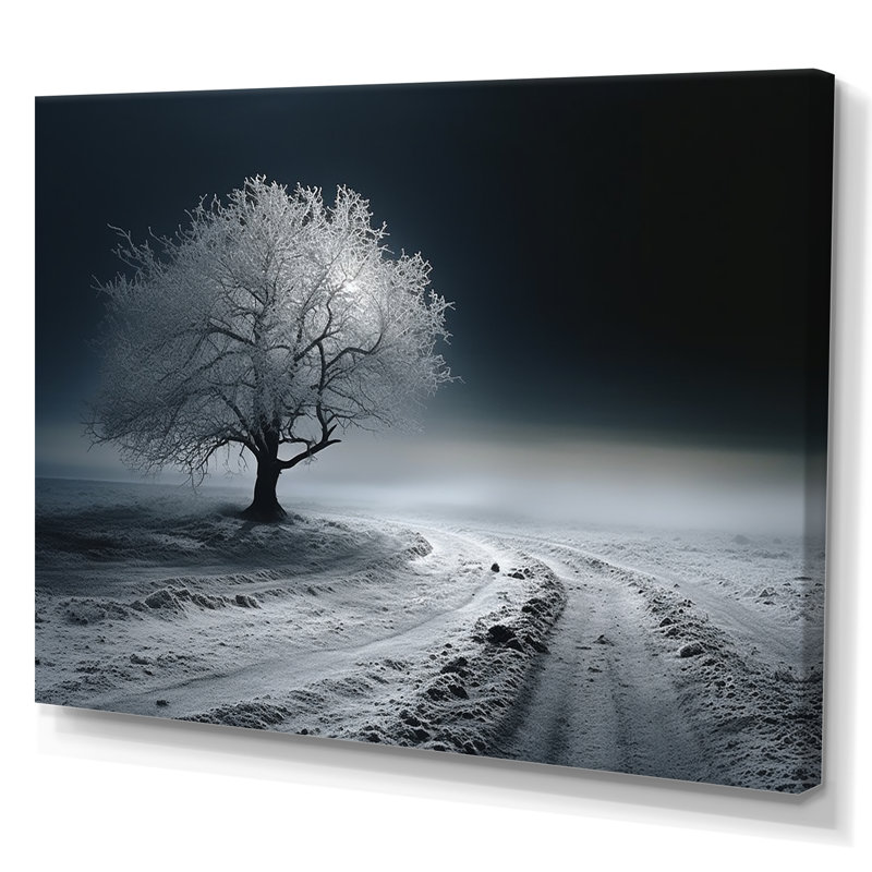 Photographie en noir et blanc d'un arbre d'hiver II sur toile, H 24 po x l 32 po x P 1 po, Toile tendue