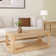 Modern Rounded Rectangular Coffee Table With Shelf