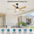 Ferrete 52" Indoor Ceiling Fan With Led Light And Remote, Modern 5-Blade Design Ceiling Fans for Living Room-1383665337