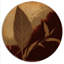 Terra Cotta Chocolate Leaves II - Print-1571828218