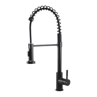 Robinet de cuisine Plumb Tech