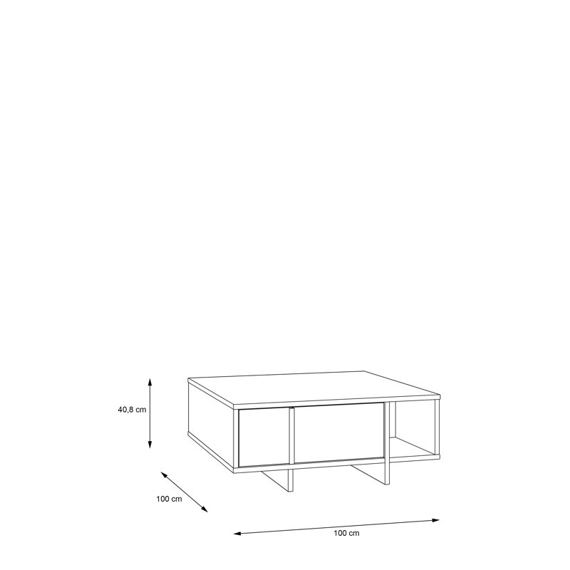 Bissonette Coffee Table with Storage