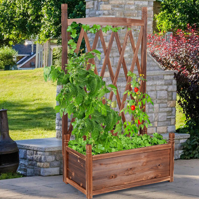 Shruthi Planter