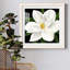 «Midnight Magnolia II», reproduction encadrée de qualité supérieure - prête à être accrochée-62727130-62727131