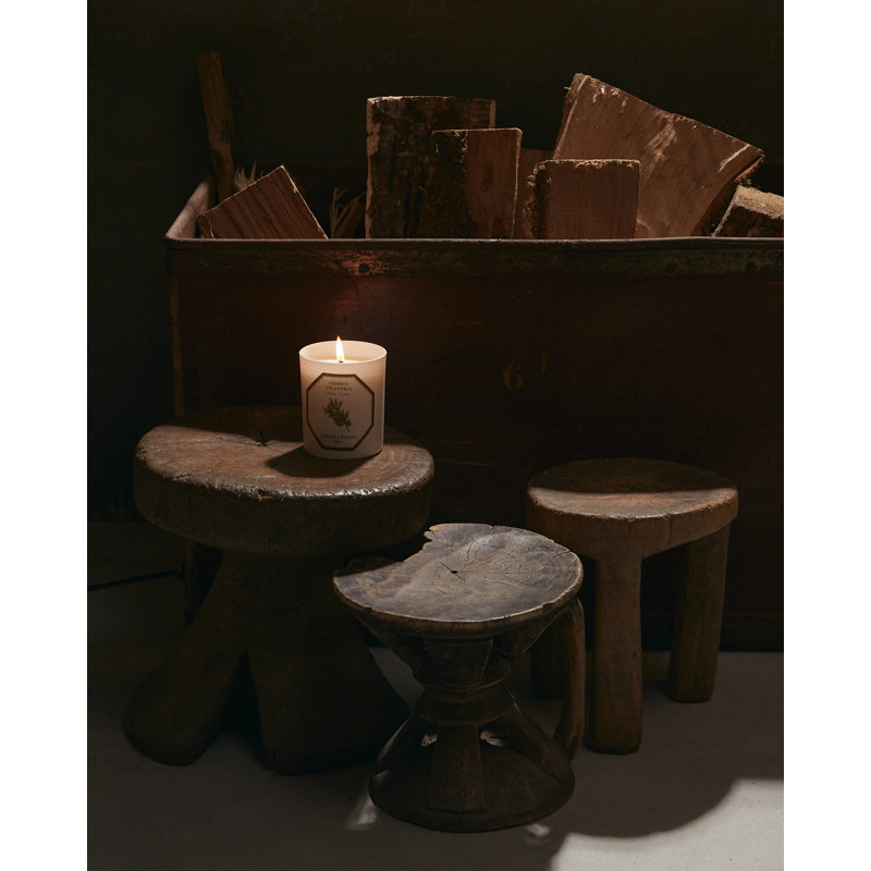 Cedar Candle